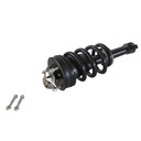 Strut Armado con Resorte Delantero GSP 30303380