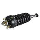 Strut Armado con Resorte Delantero GSP 30303450