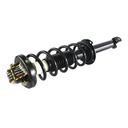 Strut Armado con Resorte Trasero Derecho GSP 30303481