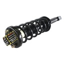Strut Armado con Resorte Trasero Izquierdo GSP 30303482