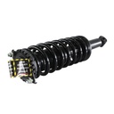 Strut Armado con Resorte Trasero GSP 30303620