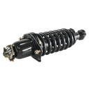 Strut Armado con Resorte Trasero Izquierdo GSP 30303642