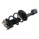 Strut Armado con Resorte Delantero Izquierdo GSP 30303892