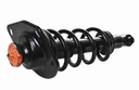 Strut Armado con Resorte Trasero Izquierdo GSP 30303902