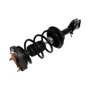 Strut Armado con Resorte Trasero Derecho GSP 30304051