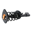 Strut Armado con Resorte Trasero Izquierdo GSP 30304112