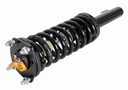 Strut Armado con Resorte Delantero Derecho GSP 30304121