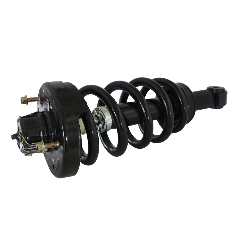 30304140 — Strut Armado con Resorte Trasero GSP 30304140