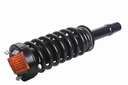 Strut Armado con Resorte Delantero Derecho GSP 30304171