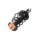 Strut Armado con Resorte Delantero Derecho GSP 30304311