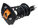 Strut Armado con Resorte Trasero Derecho GSP 30304431