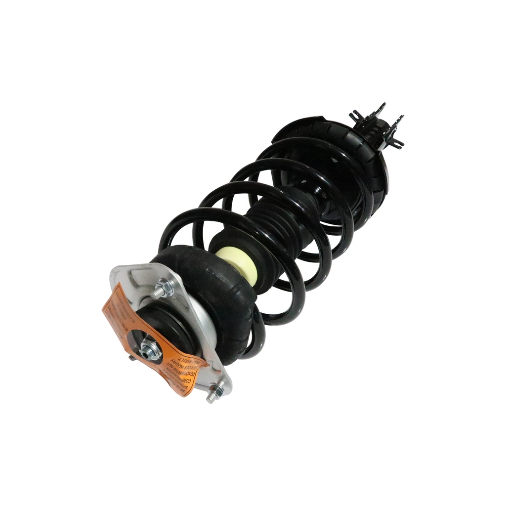 30304670 — Strut Armado con Resorte Delantero GSP 30304670