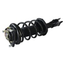 Strut Armado con Resorte Delantero GSP 30304760