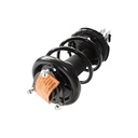 Strut Armado con Resorte Delantero Derecho GSP 30304781