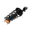Strut Armado con Resorte Trasero Izquierdo GSP 30304802
