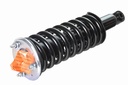 Strut Armado con Resorte Delantero GSP 30304830