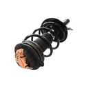 Strut Armado con Resorte Delantero Derecho GSP 30304851