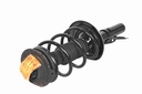 Strut Armado con Resorte Delantero Izquierdo GSP 30304852