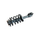 Strut Armado con Resorte Delantero Izquierdo GSP 30304872