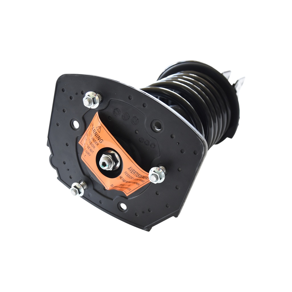 30304891 — Strut Armado con Resorte Trasero Derecho GSP 30304891