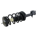 Strut Armado con Resorte Trasero Derecho GSP 30304991