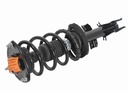 Strut Armado con Resorte Delantero GSP 30305060