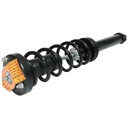 Strut Armado con Resorte Trasero GSP 30305070