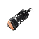 Strut Armado con Resorte Delantero GSP 30305110