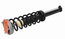 Strut Armado con Resorte Trasero Izquierdo GSP 30305262