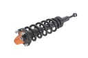 Strut Armado con Resorte Delantero Izquierdo GSP 30305402