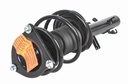 Strut Armado con Resorte Delantero Izquierdo GSP 30305522