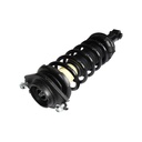 Strut Armado con Resorte Trasero GSP 30305530