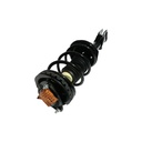 Strut Armado con Resorte Trasero Izquierdo GSP 30305772
