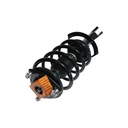 Strut Armado con Resorte Delantero Derecho GSP 30305911