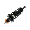Strut Armado con Resorte Trasero GSP 30305920
