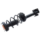 Strut Armado con Resorte Trasero Izquierdo GSP 30305992