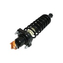 Strut Armado con Resorte Trasero GSP 30306010