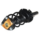 Strut Armado con Resorte Delantero Derecho GSP 30306241