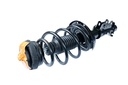 Strut Armado con Resorte Delantero Derecho GSP 30306281