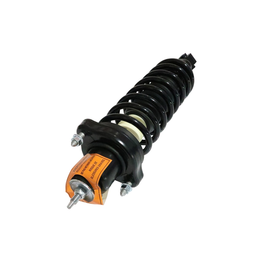 30306300 — Strut Armado con Resorte Trasero GSP 30306300
