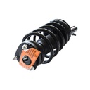 Strut Armado con Resorte Delantero GSP 30306330