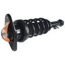 Strut Armado con Resorte Trasero Izquierdo GSP 30306392