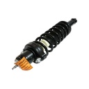 Strut Armado con Resorte Trasero GSP 30306400