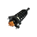 Strut Armado con Resorte Trasero GSP 30306450
