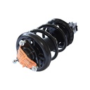 Strut Armado con Resorte Delantero Izquierdo GSP 30306462