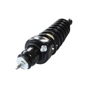Strut Armado con Resorte Trasero GSP 30306480