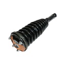 Strut Armado con Resorte Delantero Izquierdo GSP 30306512