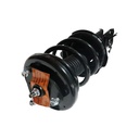 Strut Armado con Resorte Delantero Izquierdo GSP 30306572