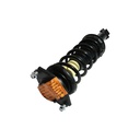 Strut Armado con Resorte Trasero GSP 30306730