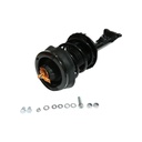 Strut Armado con Resorte Delantero GSP 30306740